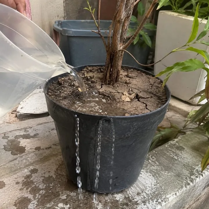 Água escorrendo por terra dura e rachada no vaso